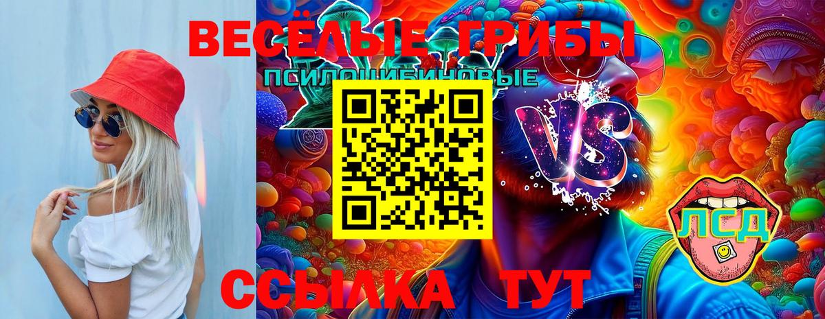 Галлюциногенные грибы Cubensis Владивосток
