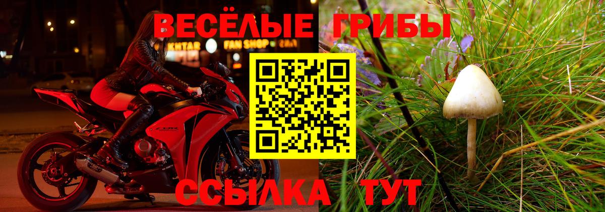 Владивосток  Галлюциногенные грибы прущие грибы  Псилоцибиновые грибы Psilocybe  Вход с VPN 